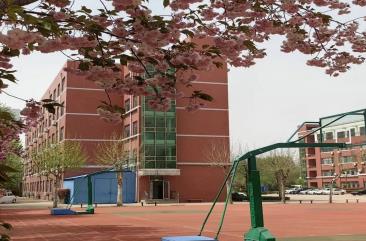 潍坊特殊教育职业中等专业学校 图2